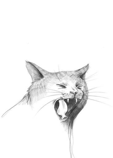 Screaming Cat av Annie Hjälmefjord
